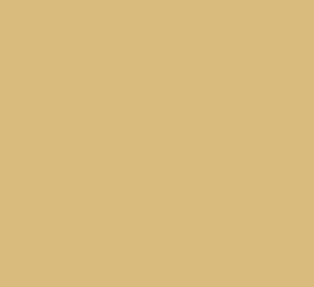 AK Interactive 11361 AFV Series: New Iraqi Army Sand 3G Acrylic Paint 17ml Bottl